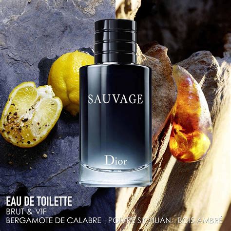 sauvage dior edp notes